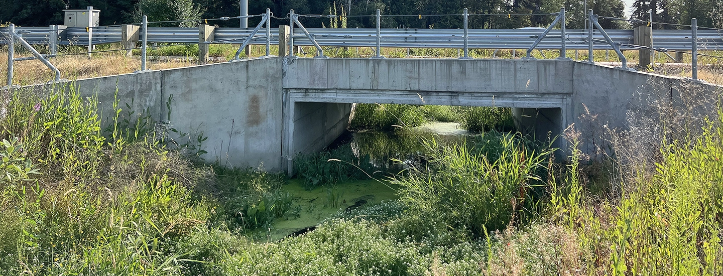 california creek Fish Passage, Washington hero
