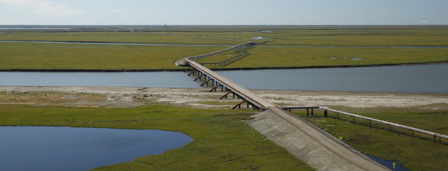 nigliq birdge aerial